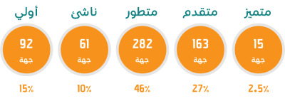 مستويات تصنيف نضج الجودة